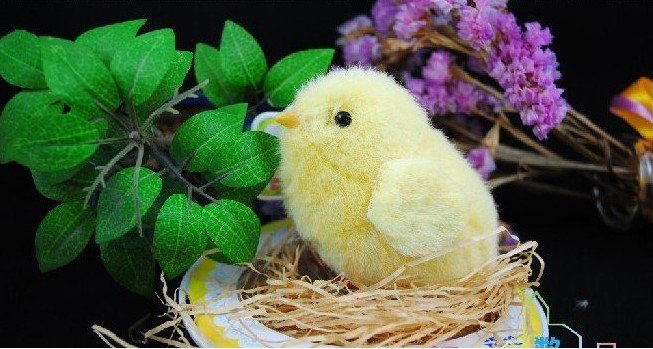 Sega Toys Sega Dreamy Chicken Wings to Take ~ 20 Days Chick
