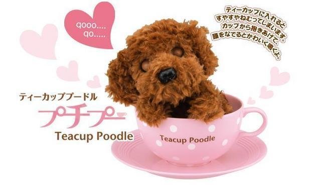 Free Shipping Teacup Poodle with Tea Cup and Plate,will Make Voice When Touching.Tiny Pocket Dog Pet