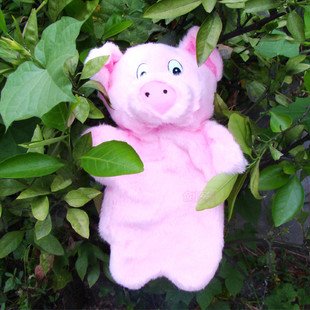 Cute Pig Puppet