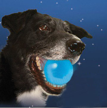 Free Shipping, Dog Toys, Pet Toys, Dog Love, Entertainment, Toys