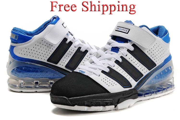 <Free Shipping>Sell 2010 New Howard Basketball Shoes Drop Shipping Wholesale Retail Clearance Authentic Shoes, Most Popular TS ,
