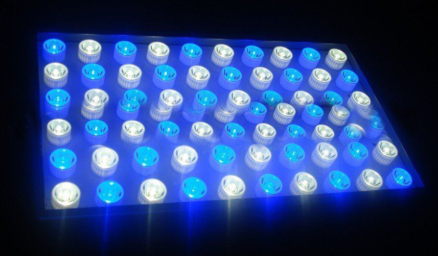 Hot New (Two Plug Availble) Led Aquarium Light