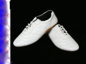 New Cowhide Embroider Martial Art Shoes White EUR 41 MS-02