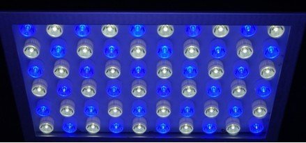 60w Led Aquarium Light
