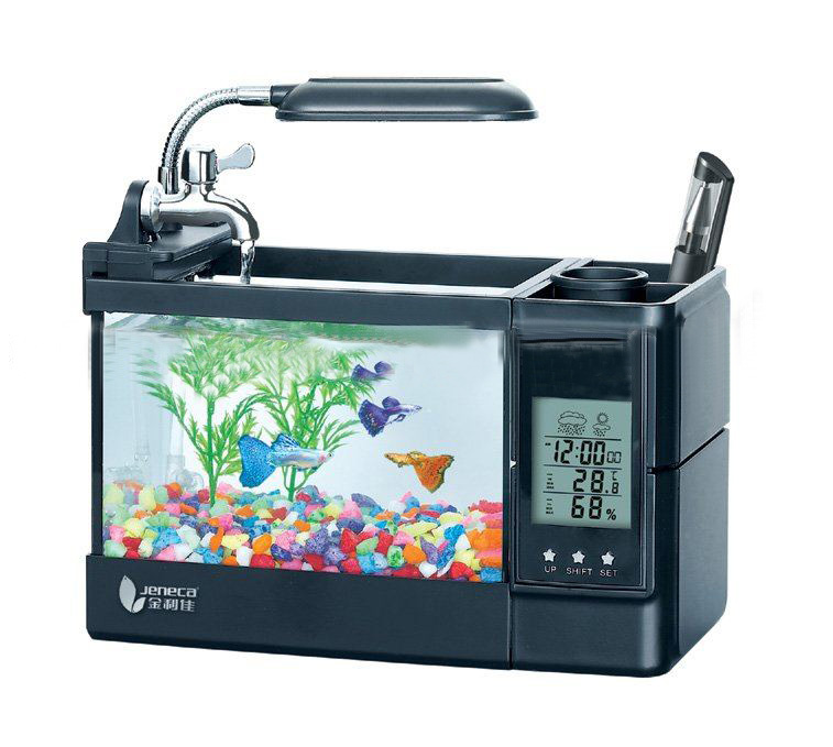 Fish Aquariums