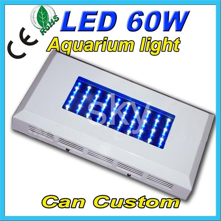 60W Aquarium Coral Reef Tank White Blue LED Grow Light Wholesale Retail Sales
