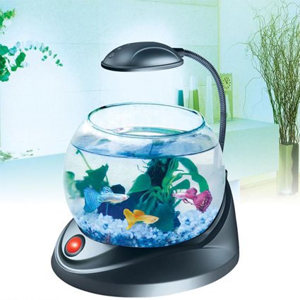 Mini Aquarium Tank,fish Tank