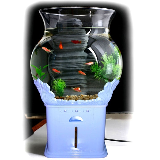 Tropical Fish Aquaqium Without Changing Water