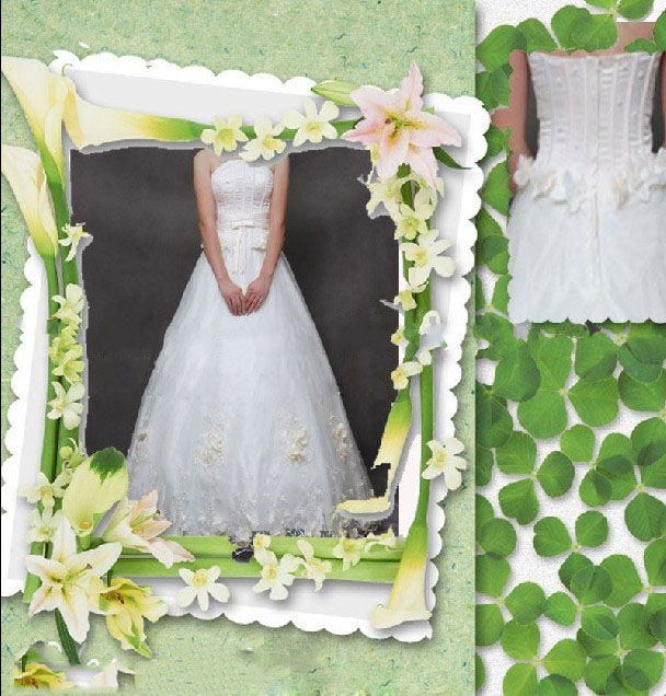 2011 Customized Fast Delivery Floor Length NEW Embroidered and Appliqued Wedding Dresses WD286