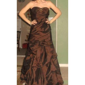 Bridal Floor Length Strapless Wedding Dresses 2010 Brown David's
