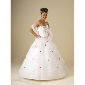 Brides 2010 Style(WDA0325) Ball Gown Floor Length Organza Wedding Dress For