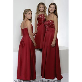Free Shipping Red Junior Bridesmaid Dresses Bridesmaid Gown LFX3029
