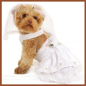 Pet Clothes/ Pet Wedding Dress/ Dog Dress