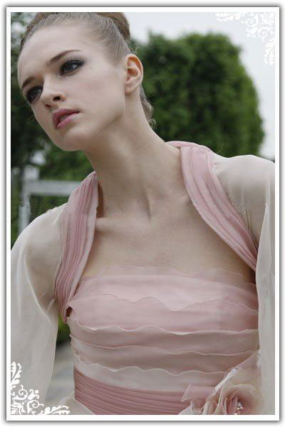 Free Shipping 2010 Fashional Formal Dress, Evening Dress,ladies' Party Dress,sexy Dress,short Cocktail Dress /retail