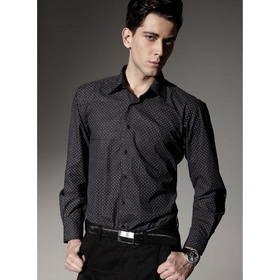 Wholesale Retail Shipping Free 2010 New Style 100% Cotton Man Shirt