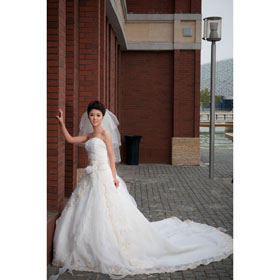 2011New Sexy V-Neckline Chiffon Floor-Length Sleeveless A Line Wedding Dresses (Free Shipping)