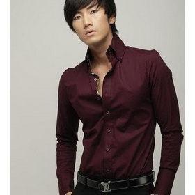 Fashion Shirts, Men's Slim Luxury Embroidery Dress Shirts M L XL XXL Long Sleeve Shirt Casual Slim Fit Stylish Dress Shirts