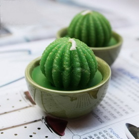 Wedding Decorations,Wedding Gifts,Cactus Candles,Valentines' Day Gifts,Wedding Favors--CT-CD