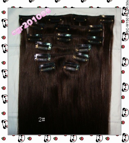 Free Shipping 2# 100g/set, Clips On Human Hair Extensions