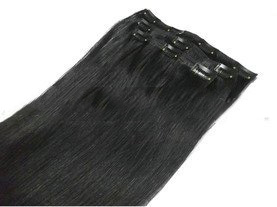 Remy Human Hair Clip On Hair Extension, Fashion Clip in Hair,straight Hair,20",100g/pack