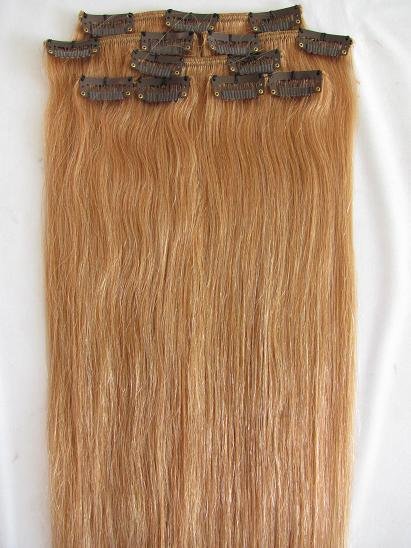 Wholesale 80g/set, Free Shipping Clips On Human Hair Extensions