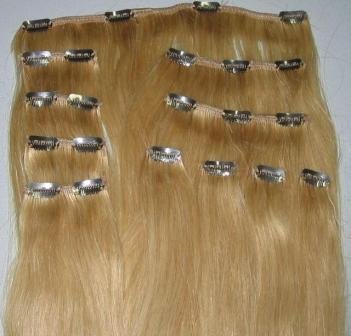 8pcs Sliky Straight Clip in Hair Extension