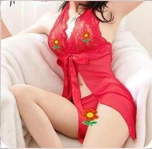 Noblest Lady Mesh Lace Waist Sheer Sexy Lingerie Sexy Lingeries Free Shipping
