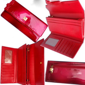 2010 Women Wallet,new Technology--GENERO Sterilization Wallet