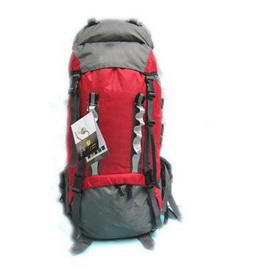 Free Shipping 65L Arc Hiking Backpack Mountaineering Bag Outdoor Package Nylon Waterproof Backpacks 01