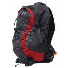 The New 2011 Bike Riding Backpack Bag