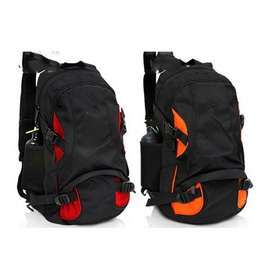 Free Shipping! Wholesale and Retail--2011 Men's New Backpack, Travel Backpack