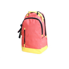 2010 New Designed Backapck