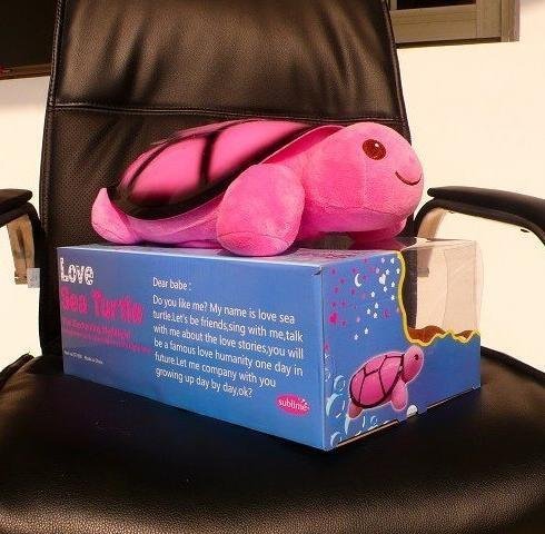 Love Sea Night Light Turtle Projector with Music Special Lamp