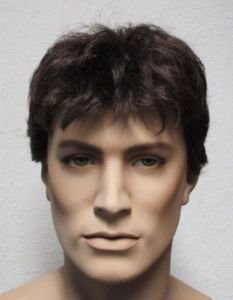 Men's Handsome Short Hair Health Synthetic Wigs