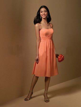 Halter Straps Backless A-line Elegant and Modern Cocktail Clubwear