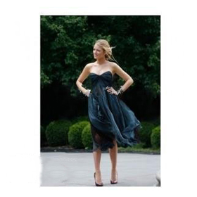 Tulle / Organza Blue Knee-length Celebrity Dresses