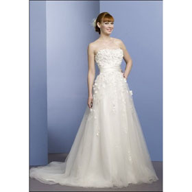 Popular A-line Strapless Appliqued Watteau Train Wedding Dresses