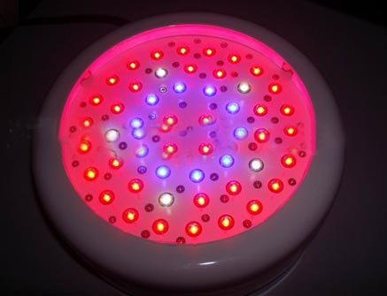 Blue Red Light Wave Chrome Die-Casting Circuitry Board 50W Rated Power Garden Lights