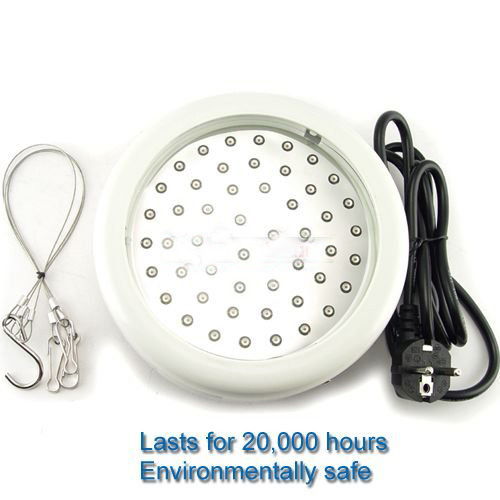 Multiple Colors 50w Led Stimulate the Garden Light