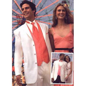 Elegant and Modern Complete Designer Multiple Sizes Delicate Groom Ties