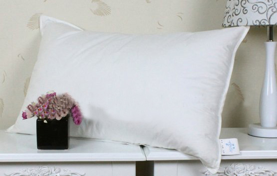 100% Pure Cotton Mulberry Silk White Color Style Pillow
