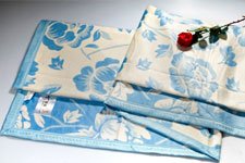Bamboo Keeper C5 Blue Knitted Embroidered Picnic Home Blanket