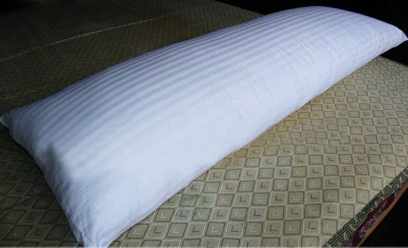 Long Style Mulberry Silk Filling Home Soft Loading Pillow