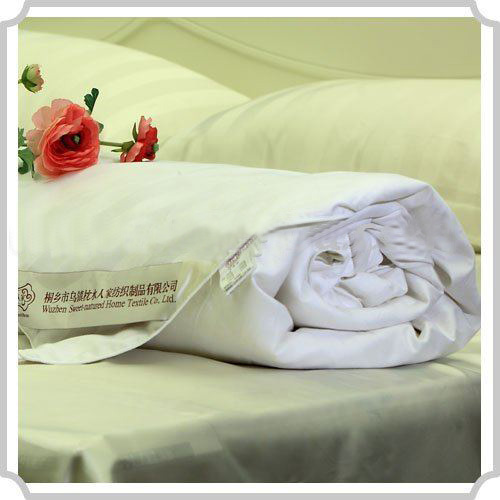 Prefectly in Tune High Quality Pure Natural Tussah Silk Quilt