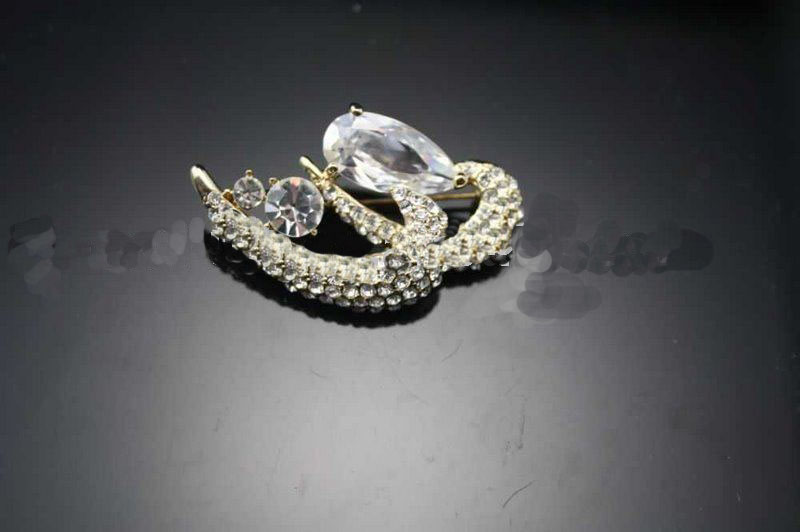 Women's Charming Diamond Golden and Silver Crystal Brooches
