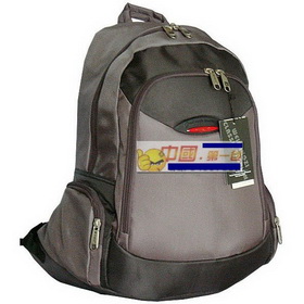 Shoulders Gray Nylon Laptop Bags