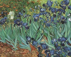 Reproduction Oil Painting Van Gogh Landscape Canvas Art