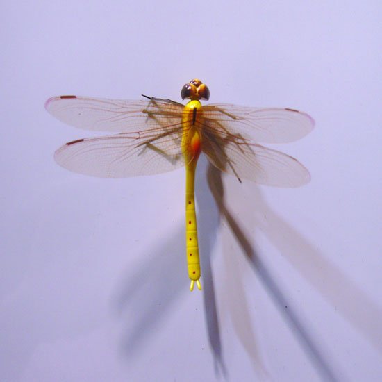 The Beautiful Dragonfly Fridge Magnet