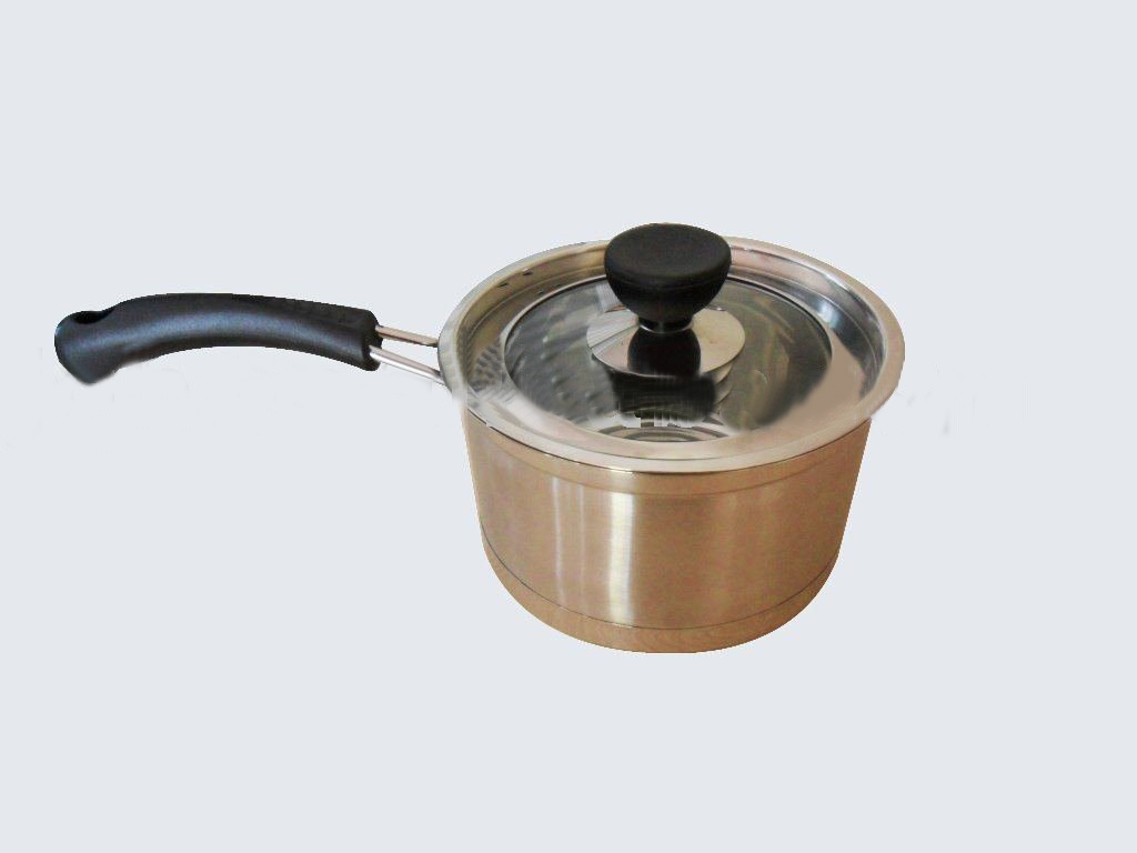 Stainless Steel Light Golden With A Handle Stockpot