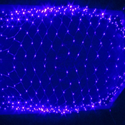LED Light String Blue Color Meshy Christmas Decorations